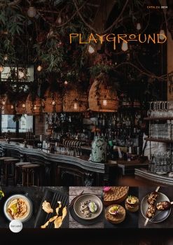 playground sanhotel mexico